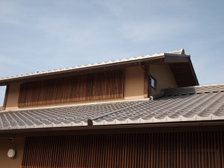 P5245693.JPG