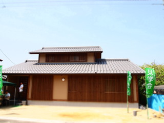 P5245730.JPG